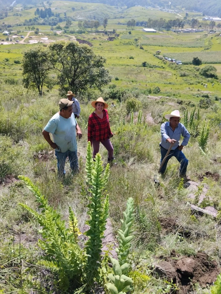 1693491145 350 Celebrando el exito de una reforestacion mas