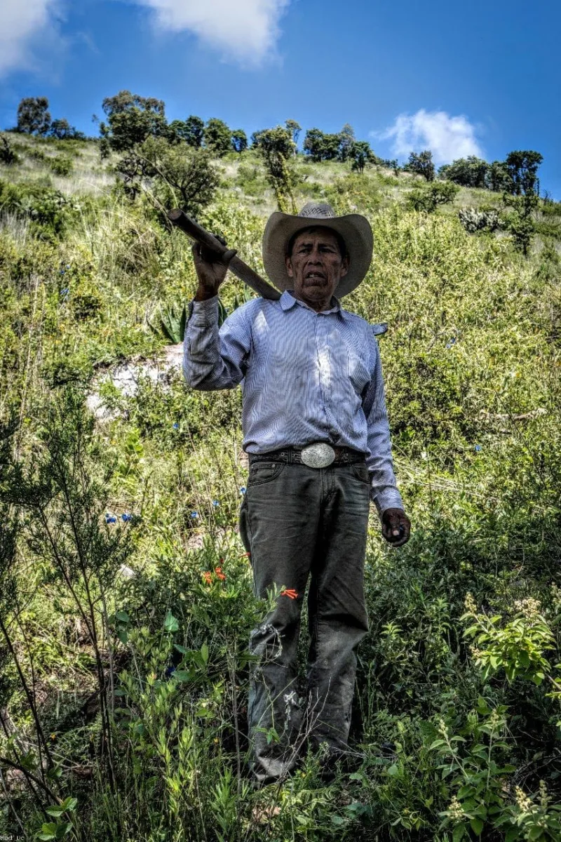 1693491149 541 Celebrando el exito de una reforestacion mas