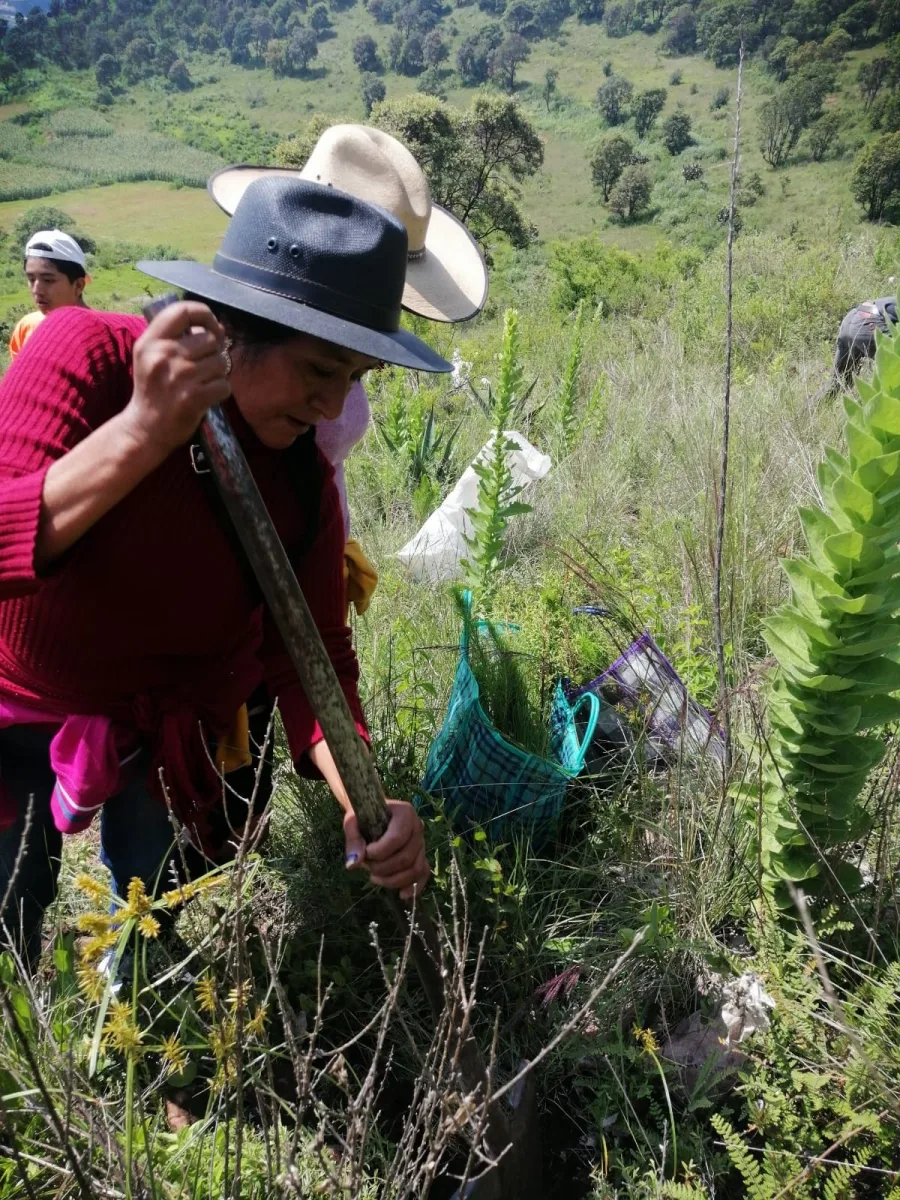 1693491153 9 Celebrando el exito de una reforestacion mas