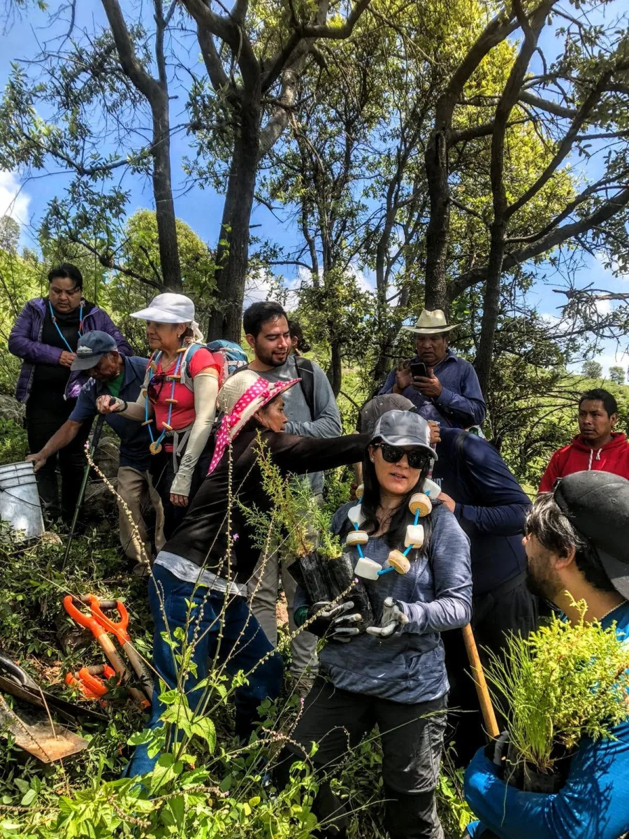 1693491173 Celebrando el exito de una reforestacion mas