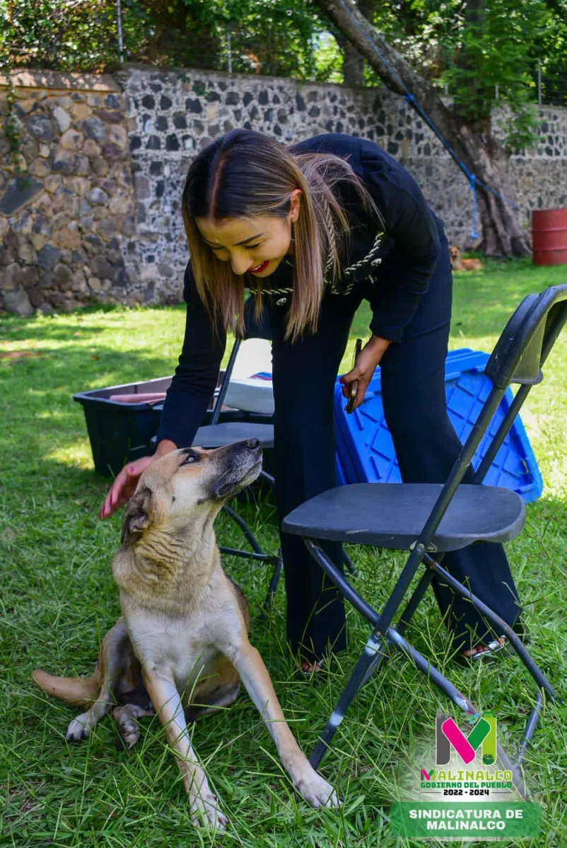 1693492166 859 El compromiso de esterilizaciones sigue en todas las comunidades el