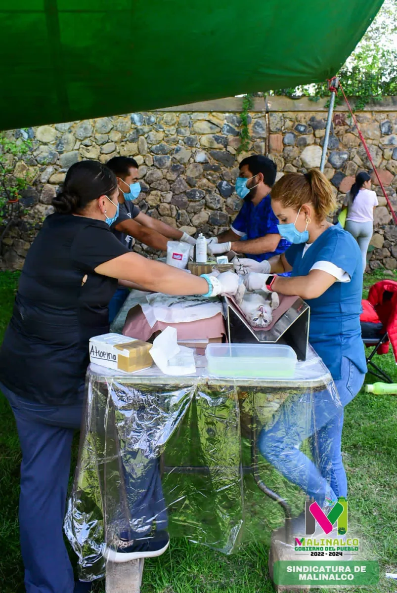 1693492196 El compromiso de esterilizaciones sigue en todas las comunidades el