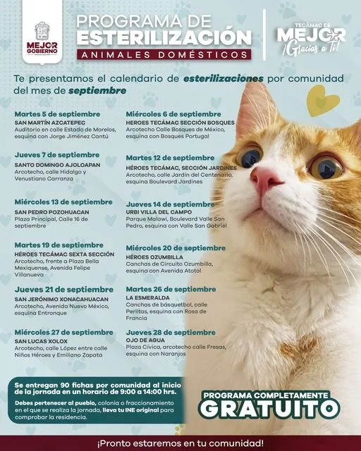 1693501567 Te compartimos el calendario de EsterilizacionesporComunidad para perros y gato jpg