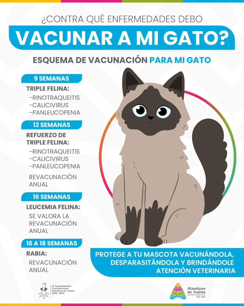 1693514975 38 Vecinas y vecinos les compartimos esta informacion sobre el esquema