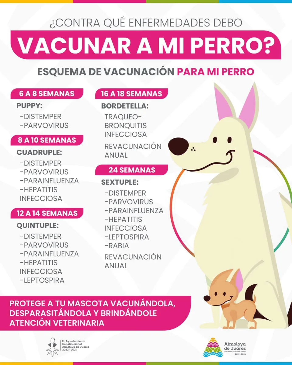 1693514984 Vecinas y vecinos les compartimos esta informacion sobre el esquema