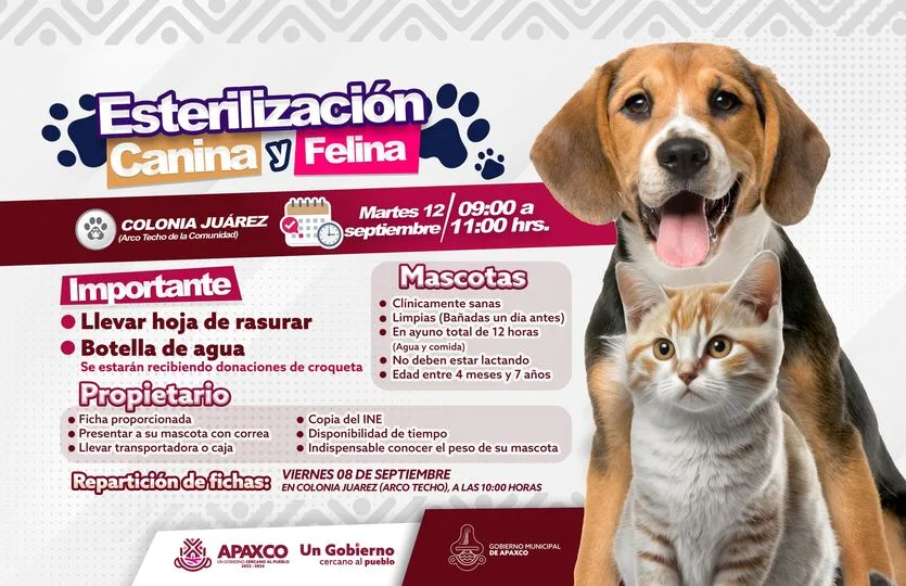 1693518517 EN COLONIA JUAREZ ESTERILIZACION GRATUITA CANINA Y FELINA jpg