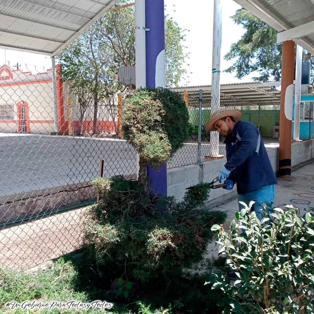 1693525512 La Coordinacion de Parques y Jardines del H Ayuntamiento de jpg