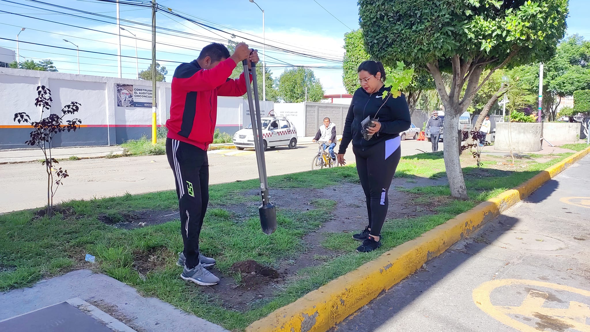 A traves de la Direccion de Ecologia en coordinacion con