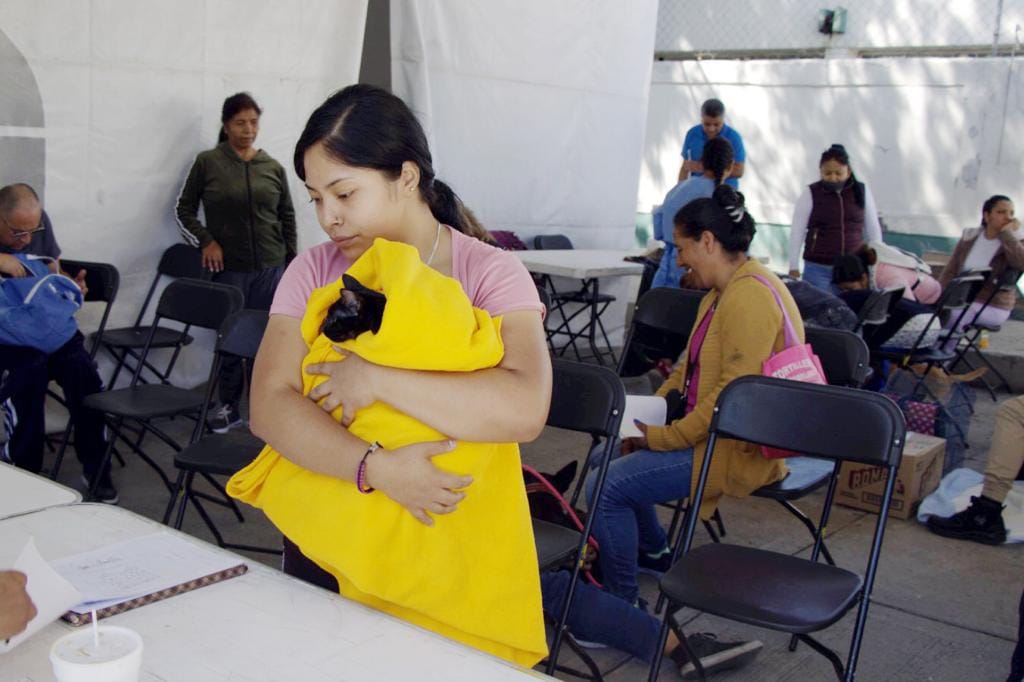 ALTA RESPUESTA DE CHIMALHUAQUENSES EN LAS JORNADAS DE ESTERILIZACION E