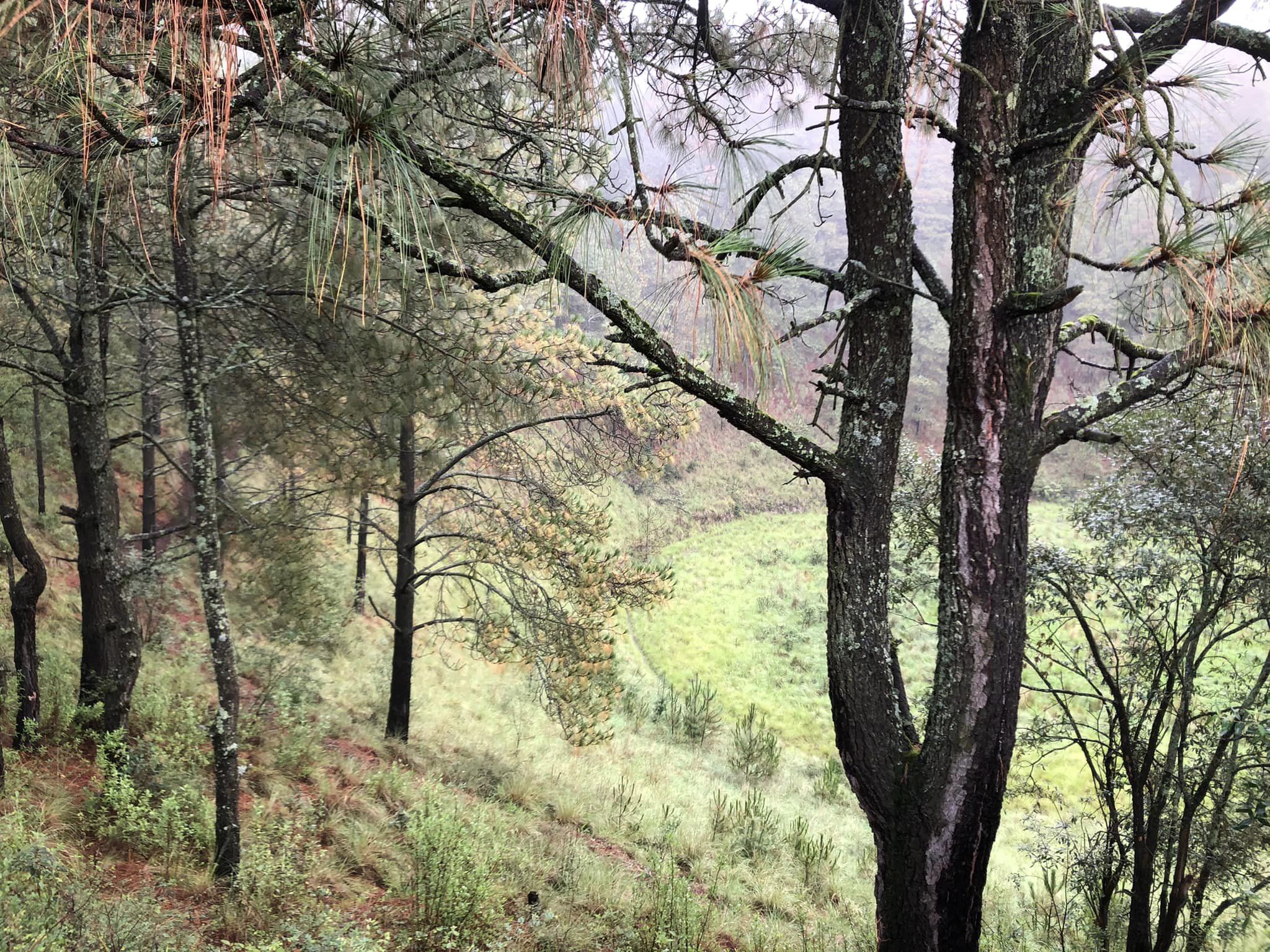 Cerro Cuahuatl de Xalatlaco