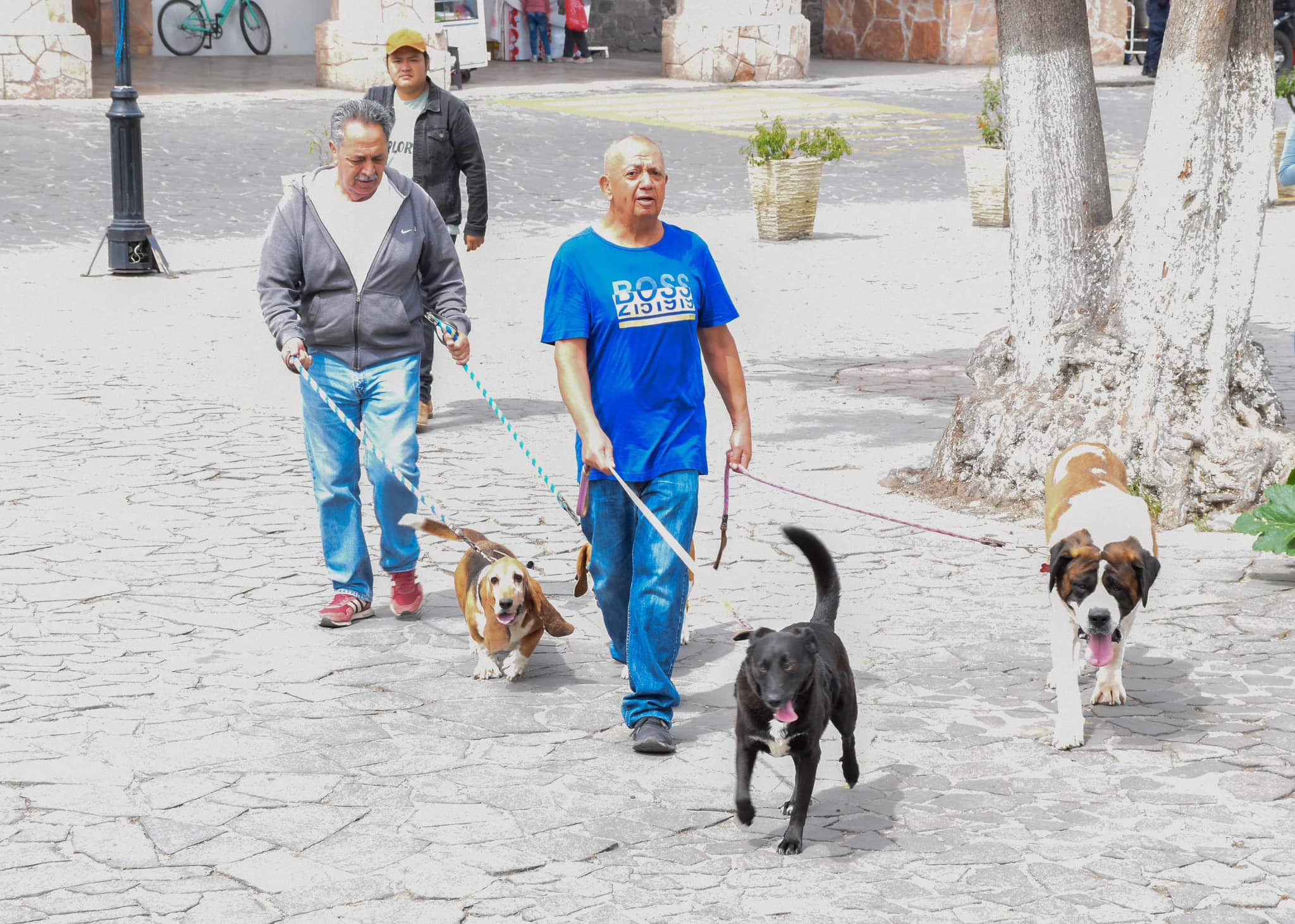 Como parte de la Jornada Estatal de Vacunacion Antirrabica 2023