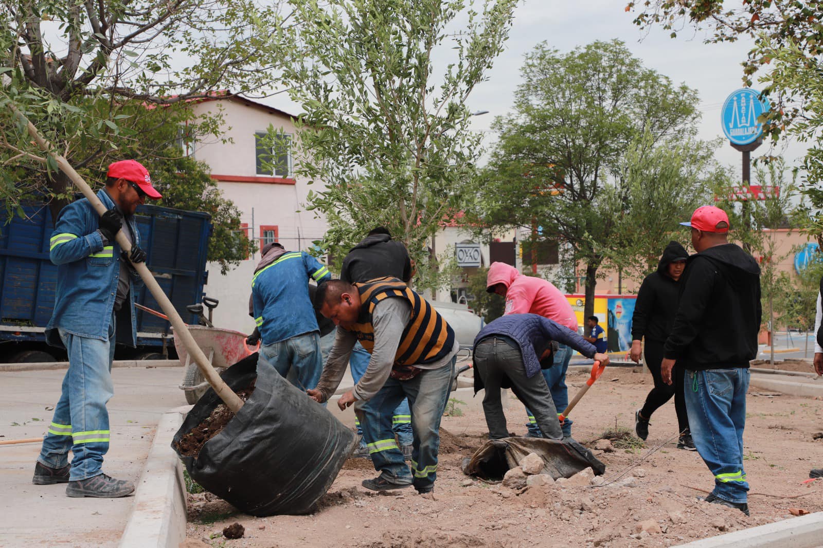 Con acciones continuas y contundentes cuidamos en medio ambiente en