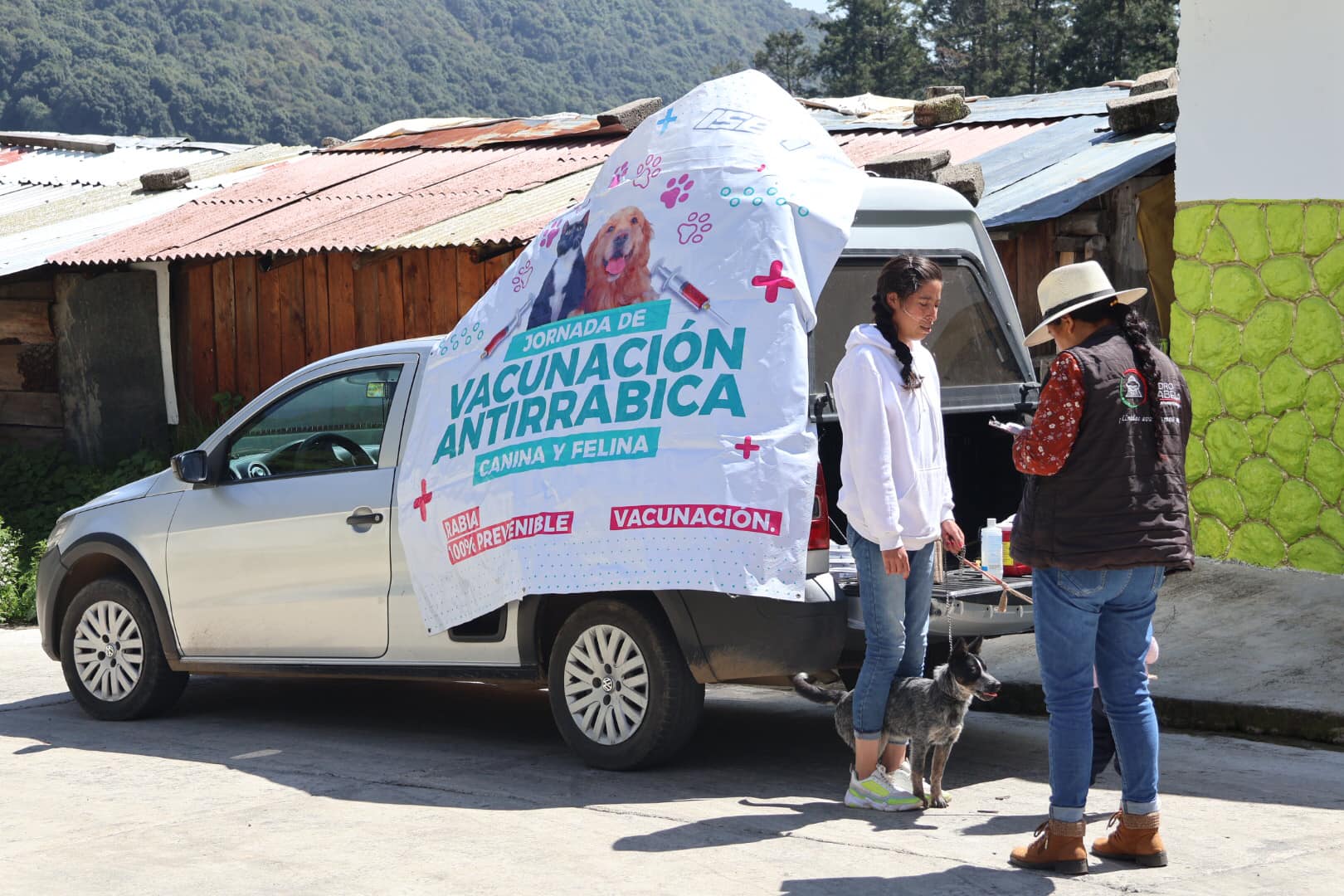 Continuamos con la VacunacionAntirrabica hoy acudimos a la Colonia Aurora