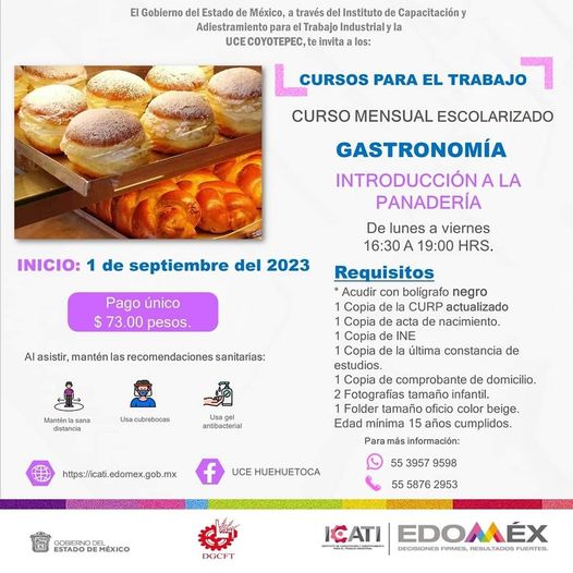 Curso II 𝗜𝗡𝗧𝗥𝗢𝗗𝗨𝗖𝗖𝗜𝗢́𝗡 𝗔 𝗟𝗔 𝗣𝗔𝗡𝗔𝗗𝗘𝗥𝗜́𝗔 El Gobierno del Estado