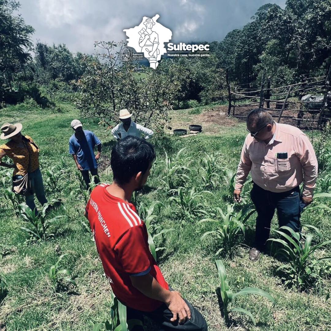 En colaboracion con el Area de Desarrollo Agropecuario el Comite