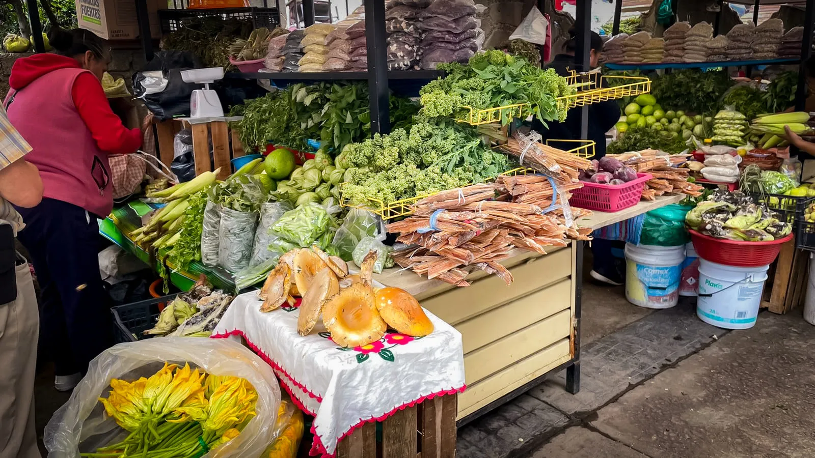 En esta temporada de hongos visita el Agromercado y encuentra jpg