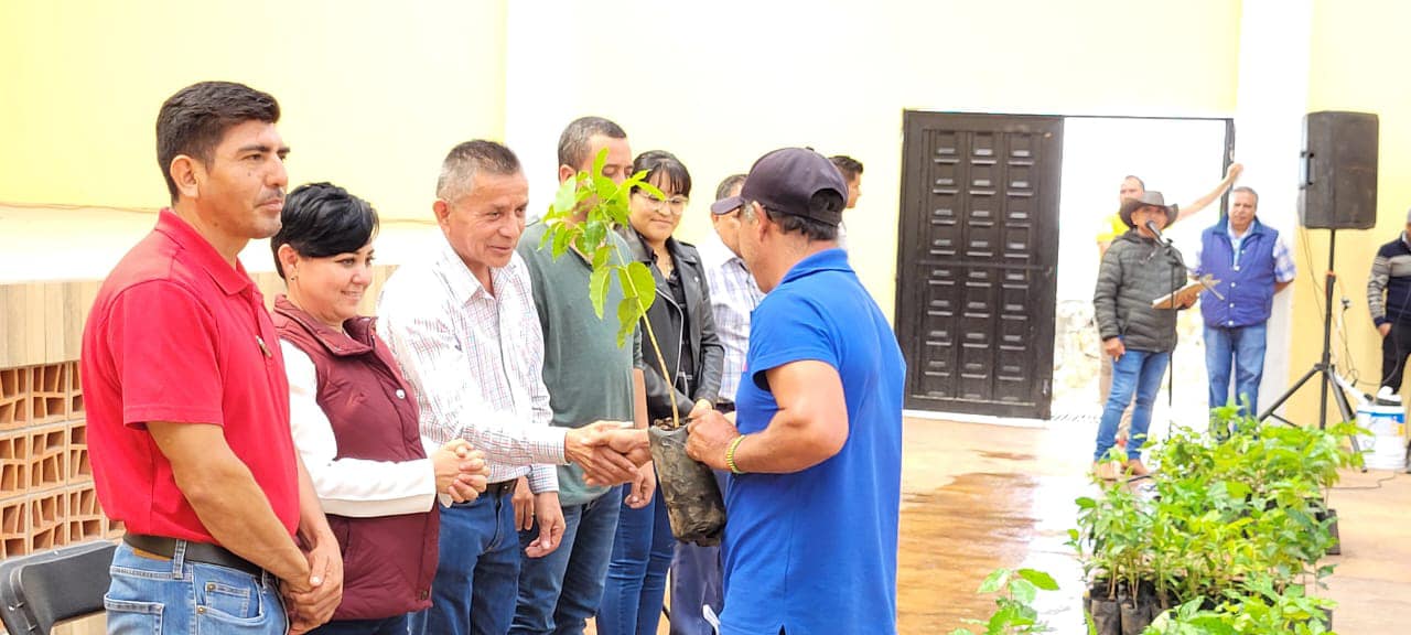 Entregamos 3 mil plantas de cafe a 60 productores de