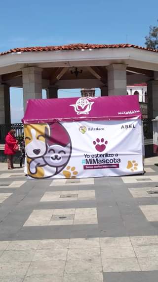 Esterilizacion permanente para tu Mascota atent@ a nuestras publicaciones