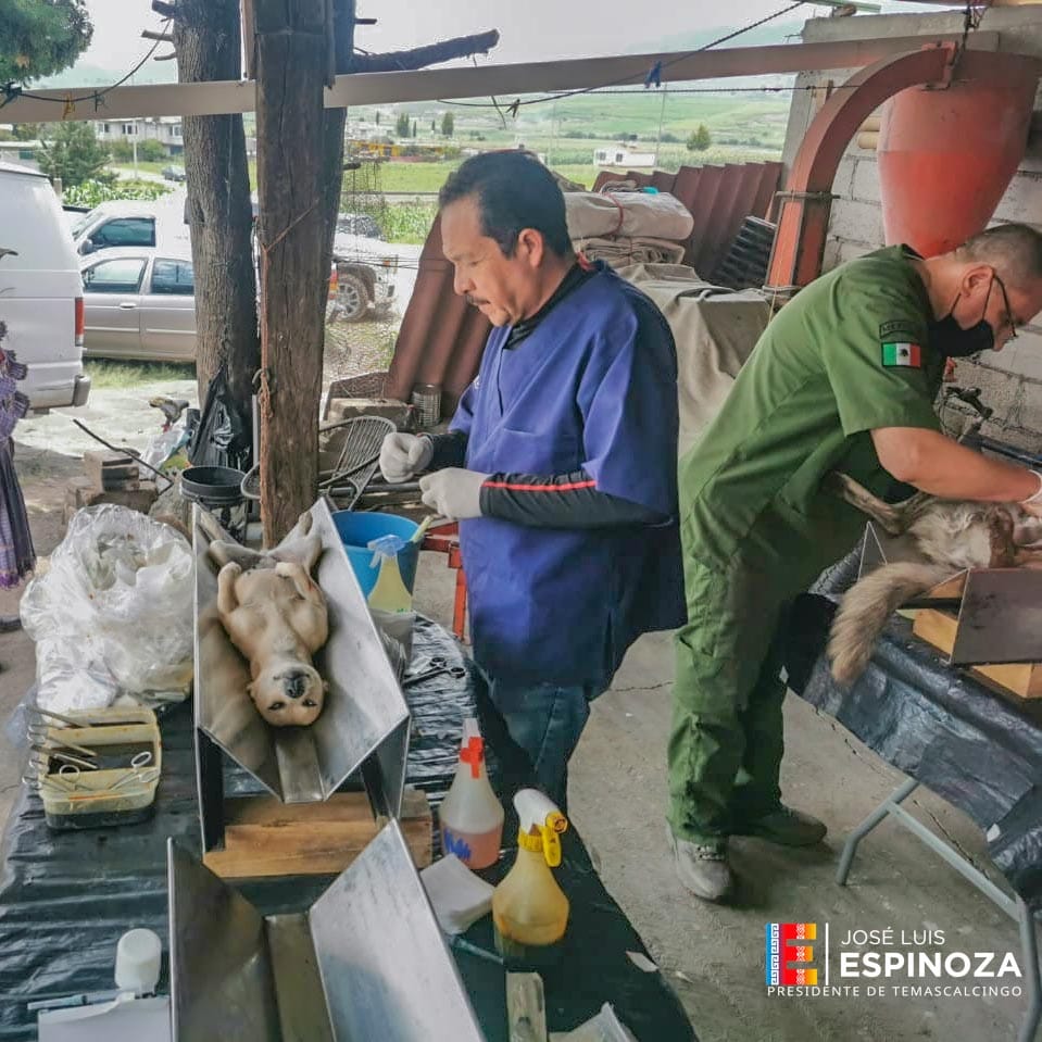 Iniciamos con entusiasmo la 2da Jornada de Esterilizacion Canina y