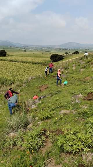 Iniciamos la tercera jornada de reforestacion