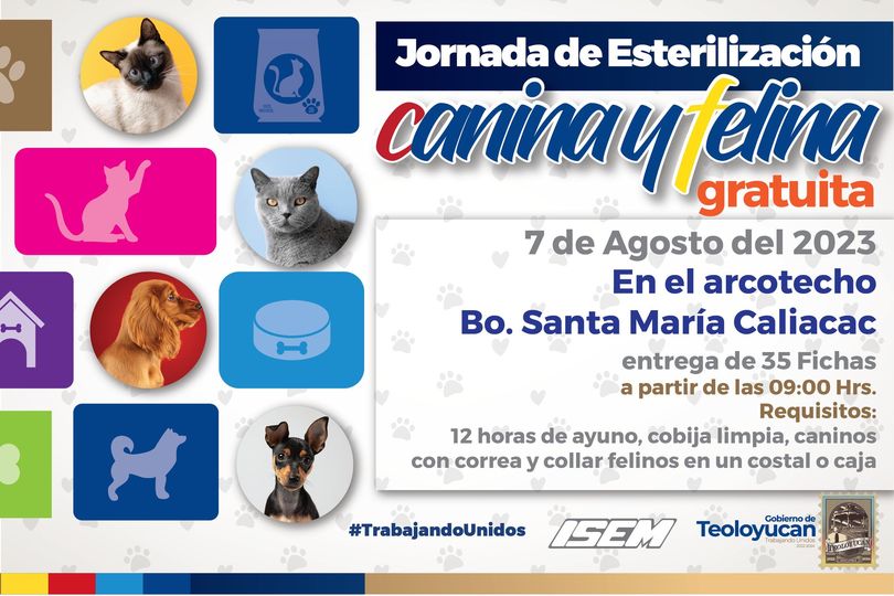 Jornada de esterilizacion canina y felina