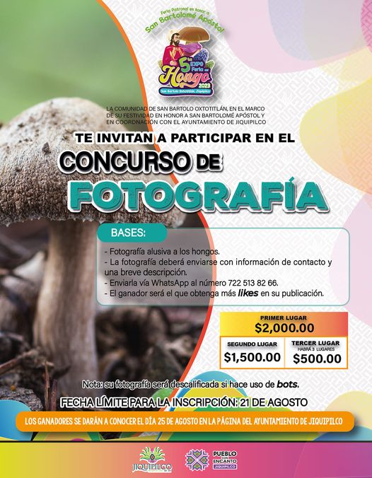 Participa en el Concurso de Fotografia de Hongos Silvestres que