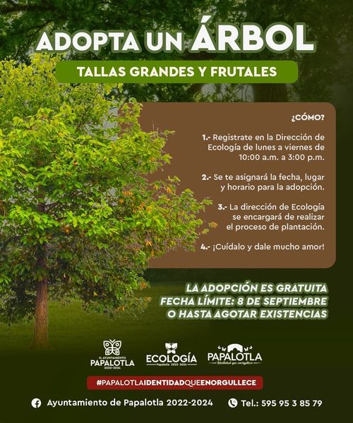 ProgramaAmbiental ¡Papalotla adopta un arbol Un arbol es una