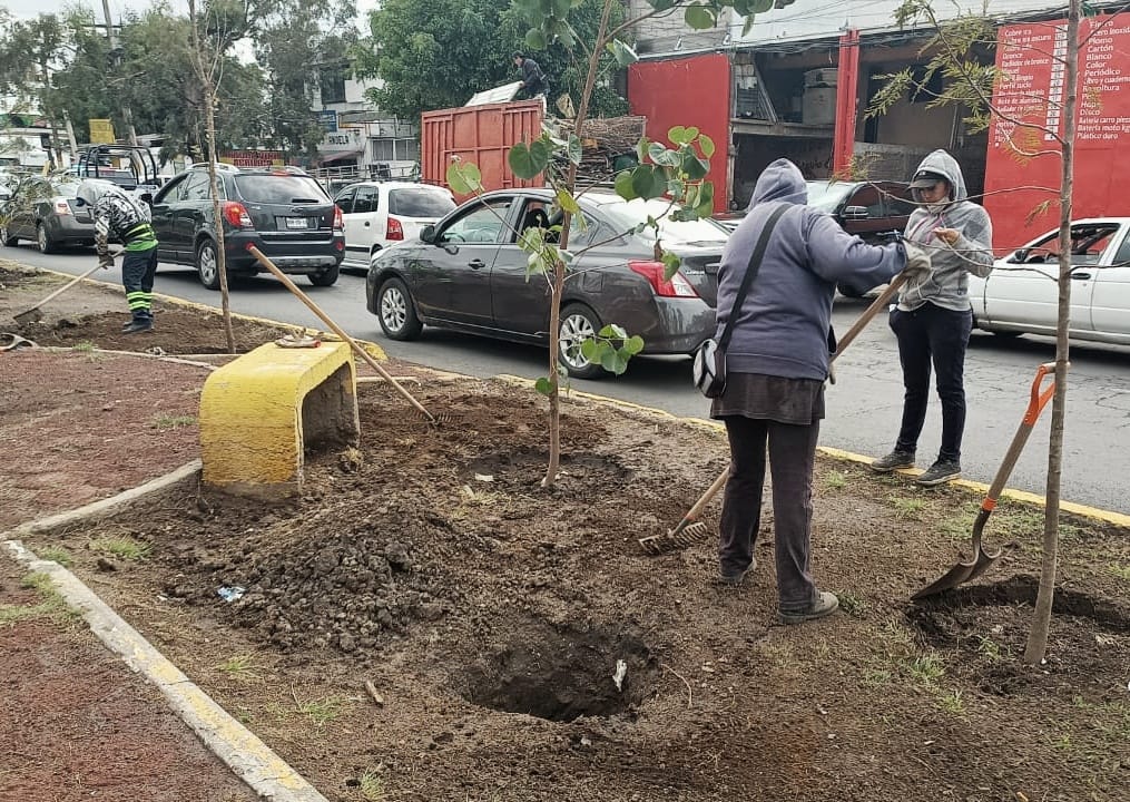 ServiciosPublicos Trabajos de limpieza en Av Valle de Santiago