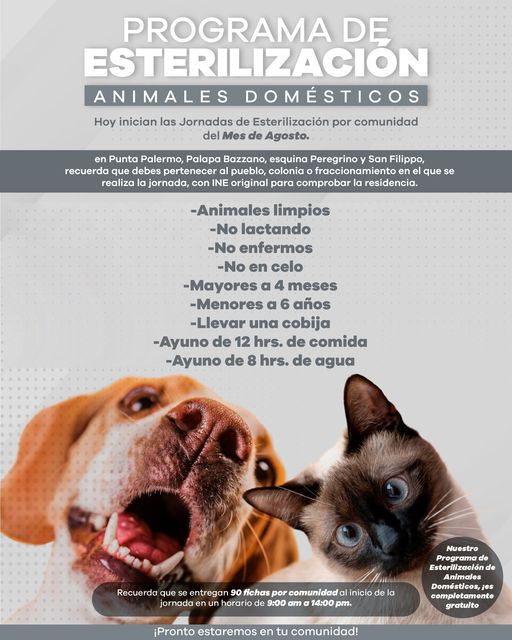 Te recordamos que puedes checar nuestro calendario de esterilizaciones por