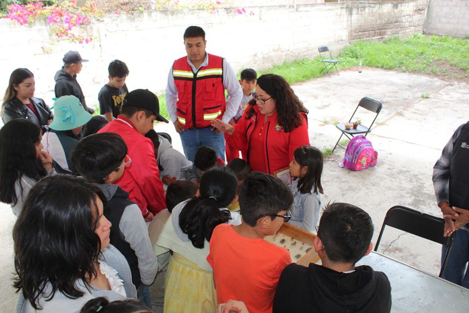 Una de las actividades en nuestro pasado curso de verano