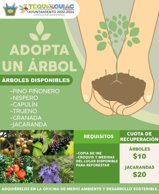 ¡Adopta un árbol!