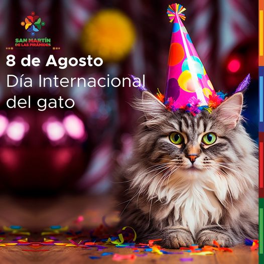 ¡Celebremos juntos el Dia Internacional del Gato