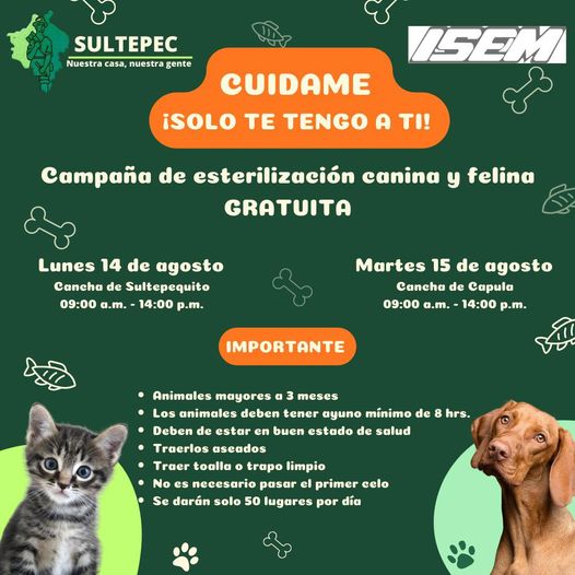 ¡Cuida de tus mascotas El Ayuntamiento de Sultepec junto con