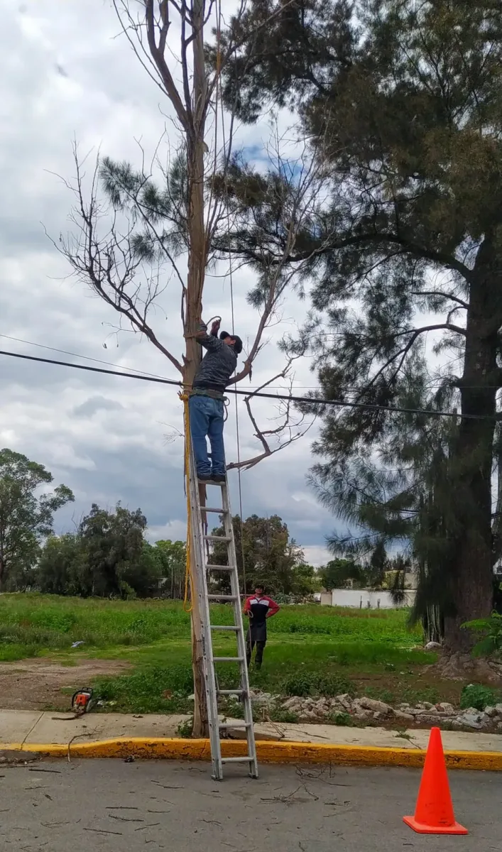 ¡Cuidemos nuestro entorno En conjunto con la direccion de Medio scaled