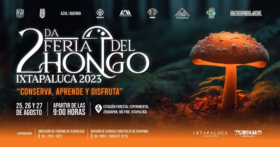 ¡Descubre el fascinante mundo micologico en la 2da Feria del