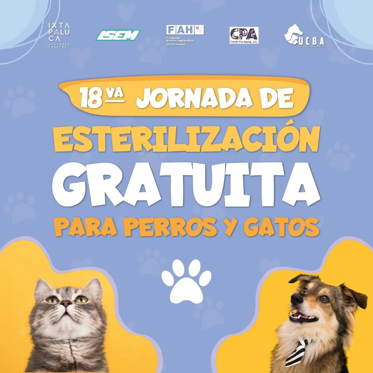 ¡Juntos prevenimos el maltrato animal! Ven a la 18va Jornada Gratuita de Ester