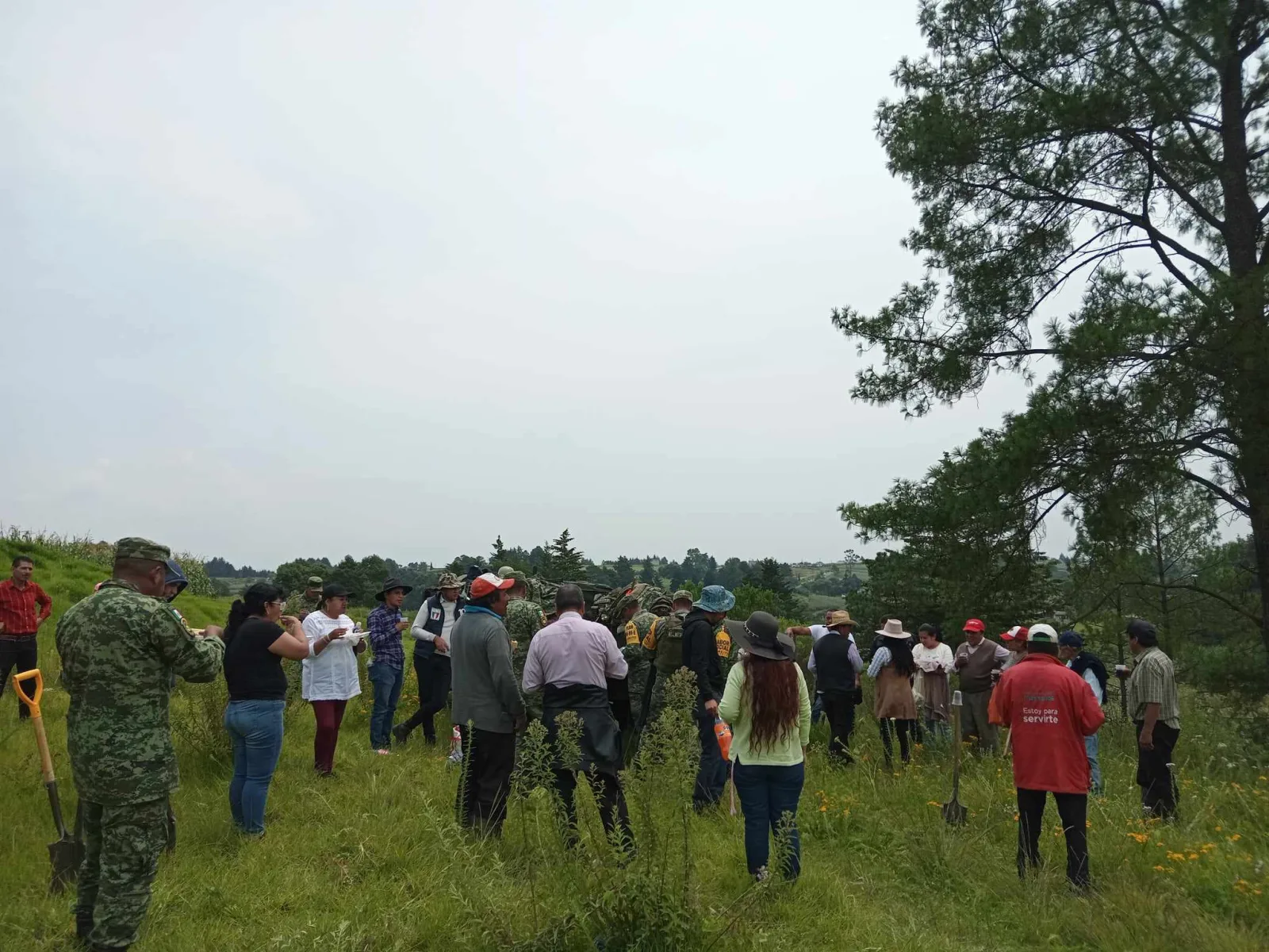 ¡Seguimos fortaleciendo el medio ambiente en AlmoloyaDeJuarez Llevamos una Jor scaled