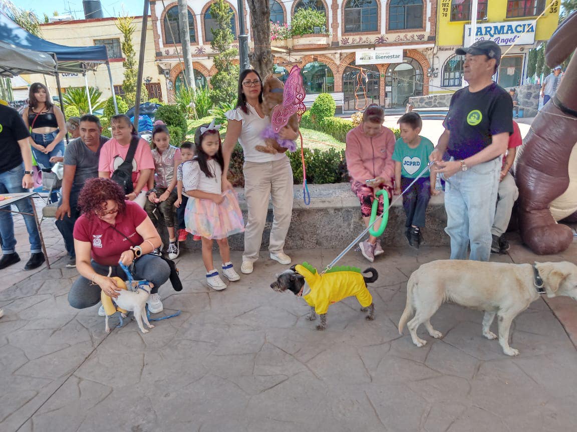 ¡Te mostramos algunas fotos del primer festival Patitas Felices Nos