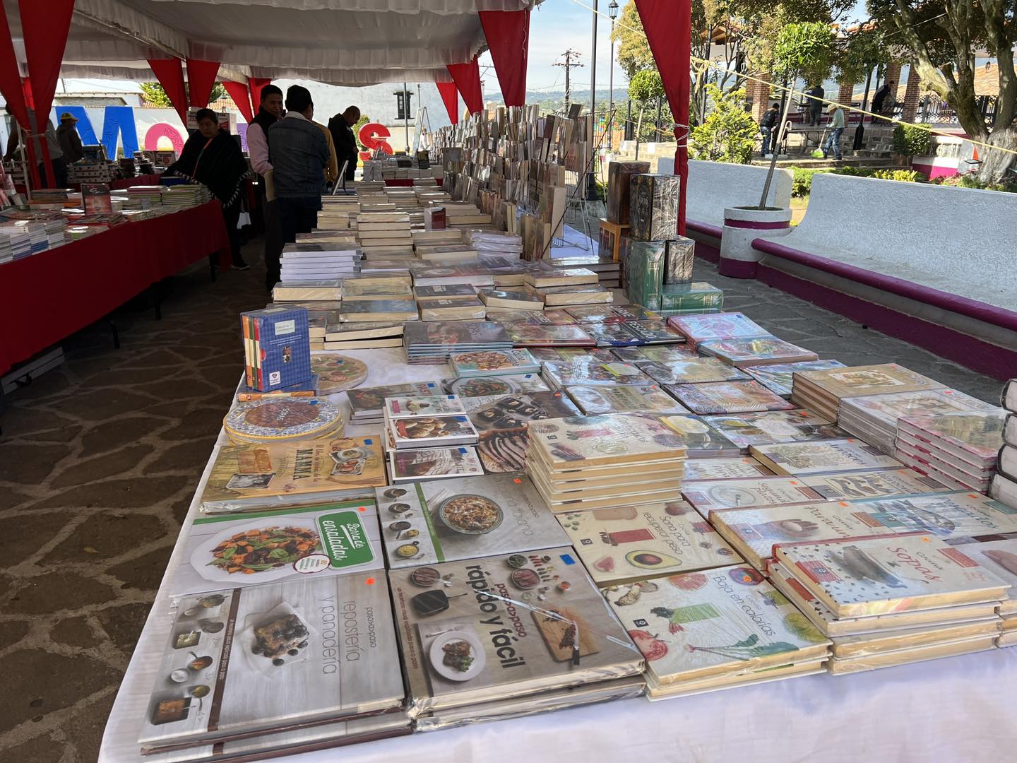 ¡Ven y asiste a la Feria del Libro en la