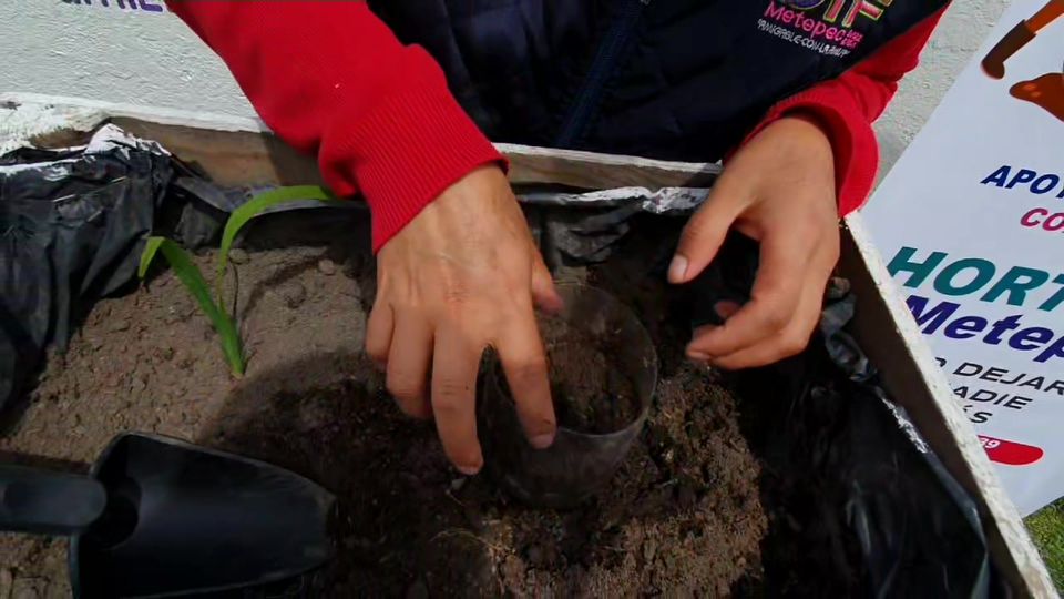 ¿Quieres aprender a hacer tu propio huerto urbano