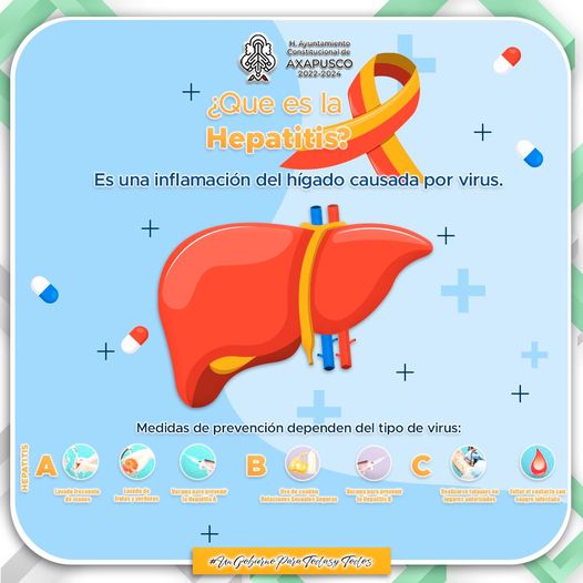 ¿Sabias que Las hepatitis son un grupo de enfermedades caracterizadas