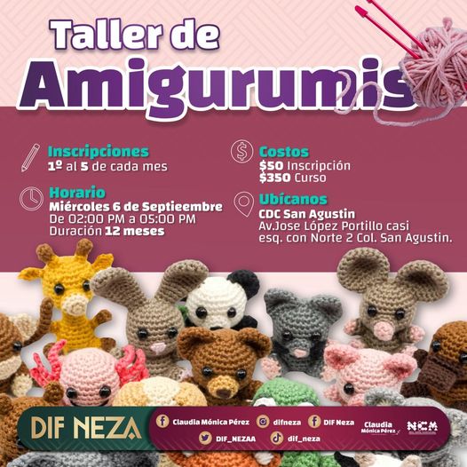 ¿Te gustaria aprender a Tejer Amigurumis