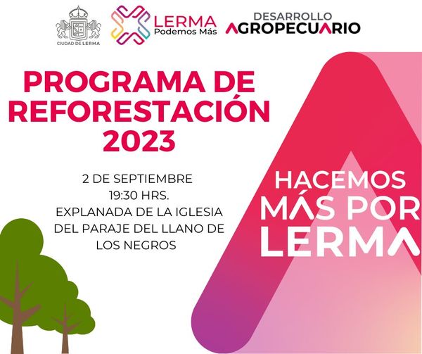 ¿Te gustaria reforestar en el Llano de los Negros esta