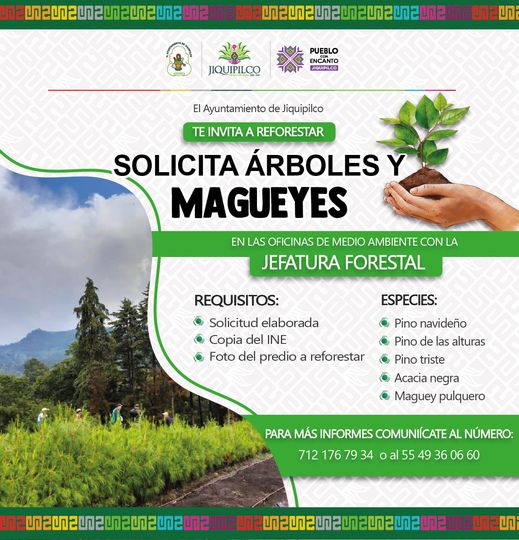 ¿Te interesa obtener arboles para reforestacion