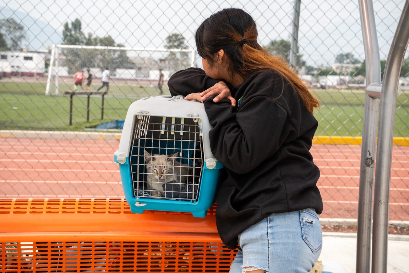 1693575073 464 GOBIERNO DE CHIMALHUACAN SUMA 200 ESTERILIZACIONES MAS PARA PREVENIR ABANDONO