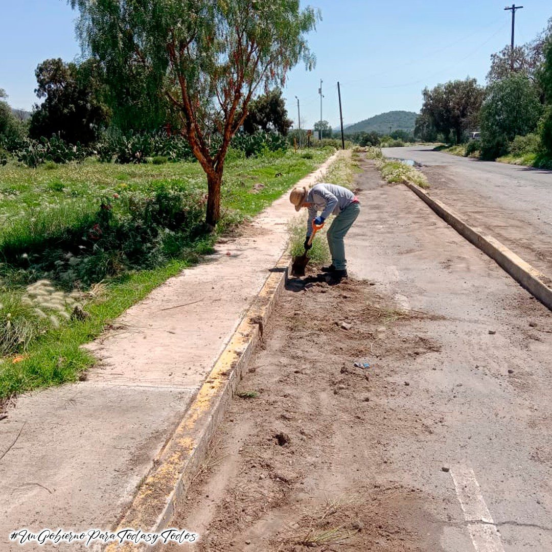 1693582973 946 La Coordinacion de Parques y Jardines del H Ayuntamiento de