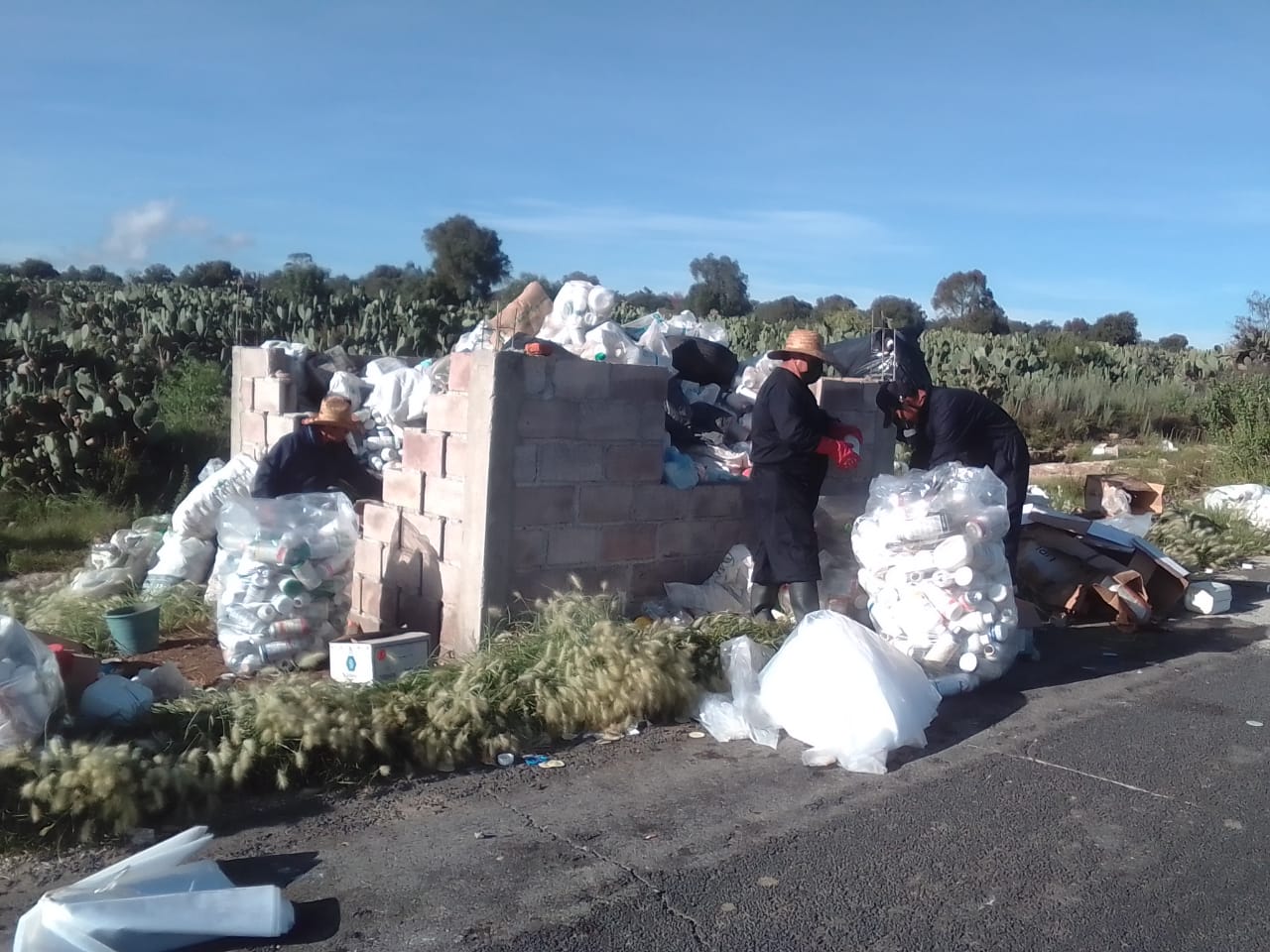 1693585919 117 ¡Pensando en el medio ambiente La direccion de Desarrollo agropecuario