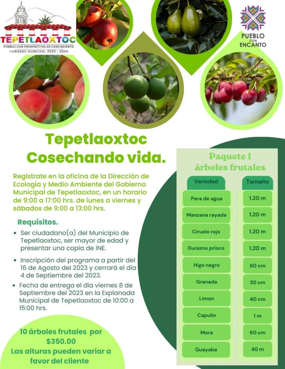 1693595114 El Gobierno Municipal De Tepetlaoxtoc 2022 2024 te invita a participar