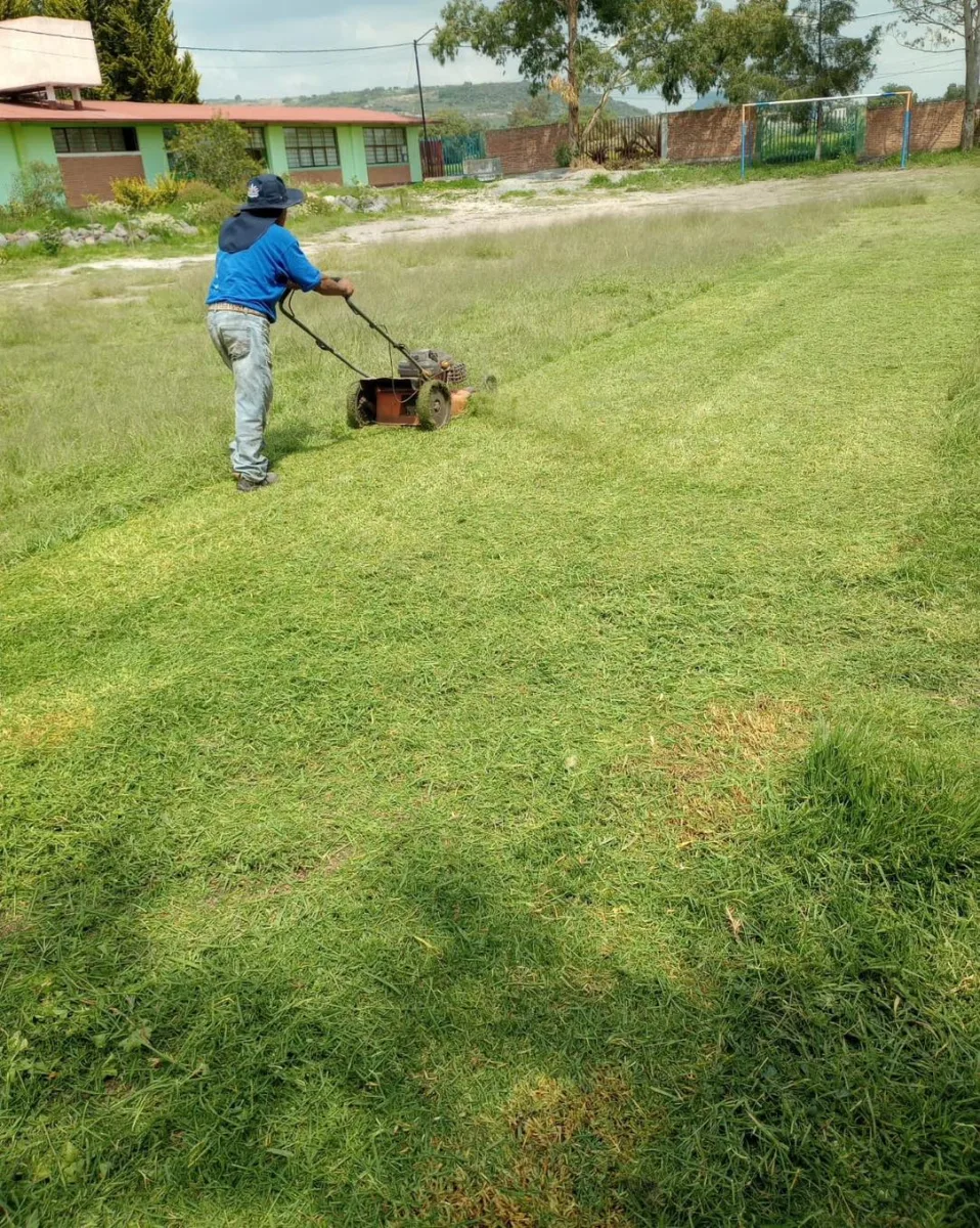 1693657392 370 El area de ecologia ha llevado a cabo una intensa