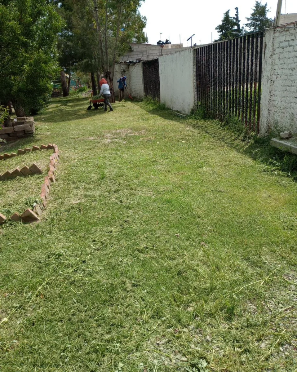 1693657395 415 El area de ecologia ha llevado a cabo una intensa